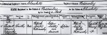 birth irish records ireland genealogy certificates