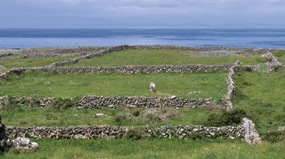 Stone walls on Inishmore/Inis Mór.