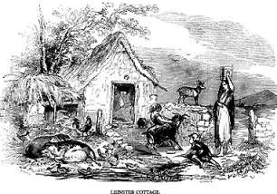 Early 19th century pen and ink drawing depicting the exterior of a rural cottage in Leinster. A woman carries a bucket of water on her head. Goats, chickens and pigs are in the yard.
