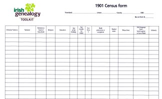 Blank transcription sheet for details extracted from 1901 Irish census returns.