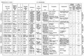 A 1926 Irish census return