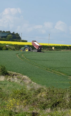 Fields in County Carlow in April, foreground being prepared for planting. Next field has rape in flower.