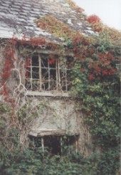 Abandoned cottage, Co Carlow, Ireland