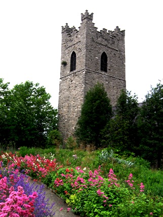 The tower of St Audeon's church in Dublin, with mid-summer plants in the foreground.