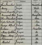 Thumbnail-size copy of portion of handwritten text from Irish Census.