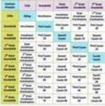 Thumbnail-size photo of Genealogical Relationship Chart.